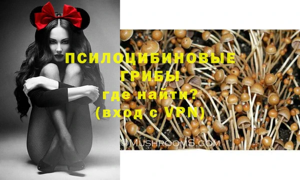 гидропоника Абдулино