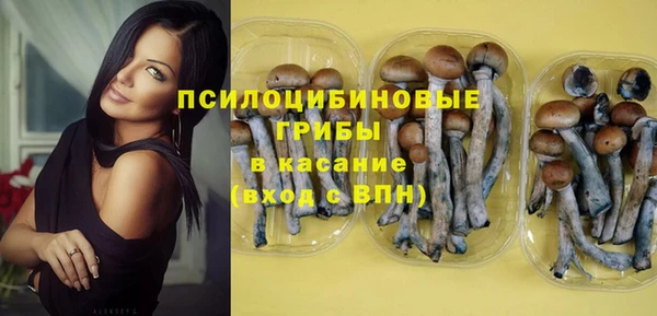 гидропоника Абдулино
