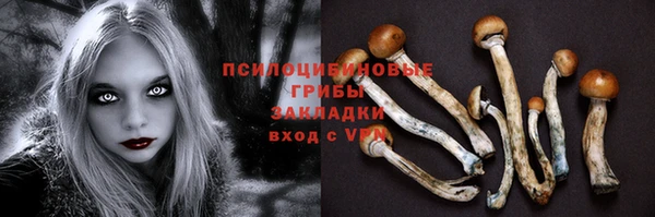 кокс Абаза