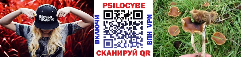 Галлюциногенные грибы мухоморы  Александровск 